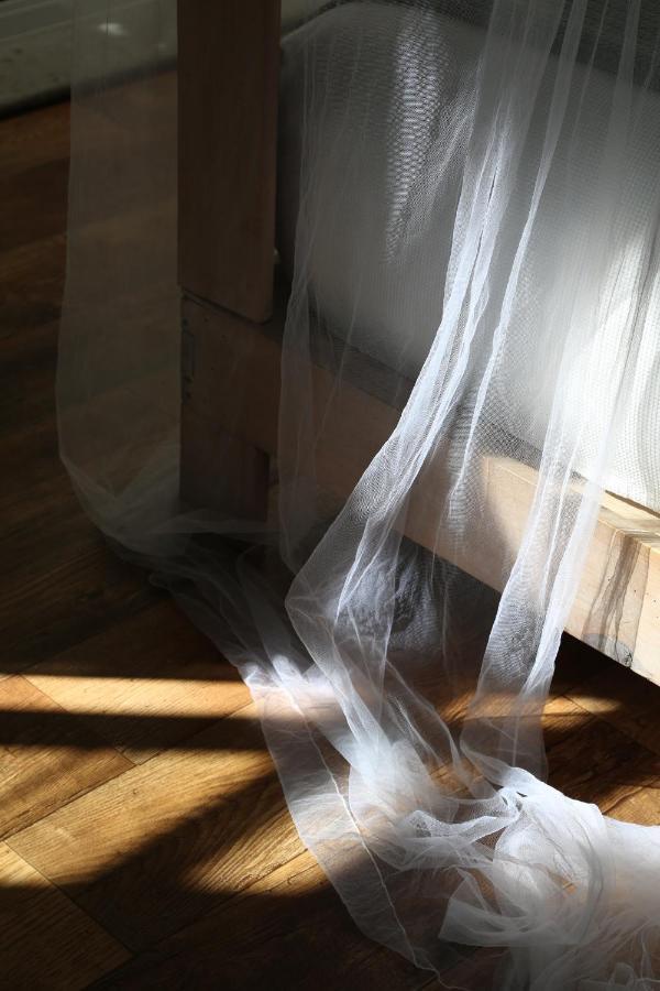 El Patio 77 B&B Μεξικό Εξωτερικό φωτογραφία