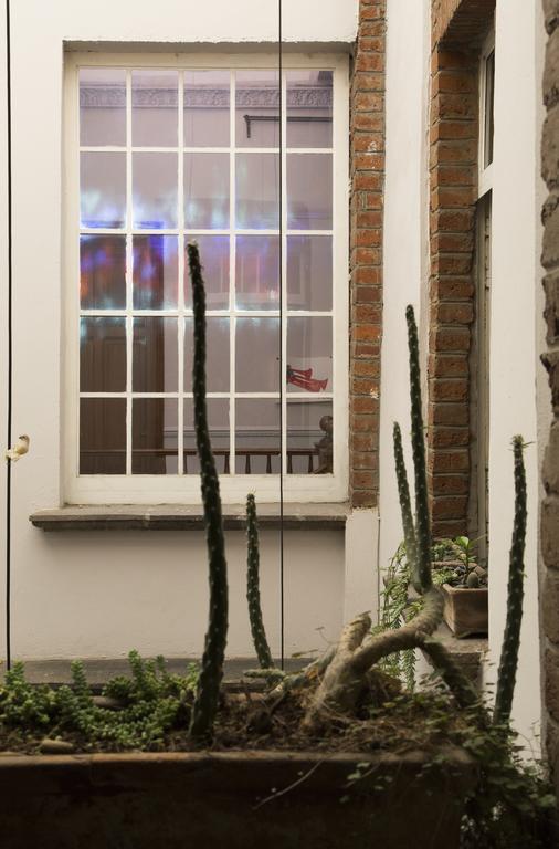 El Patio 77 B&B Μεξικό Εξωτερικό φωτογραφία