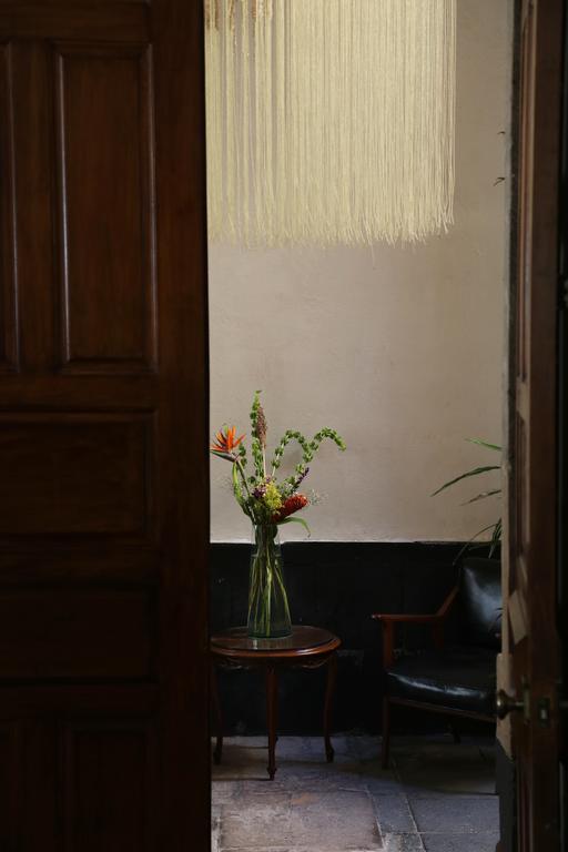 El Patio 77 B&B Μεξικό Εξωτερικό φωτογραφία