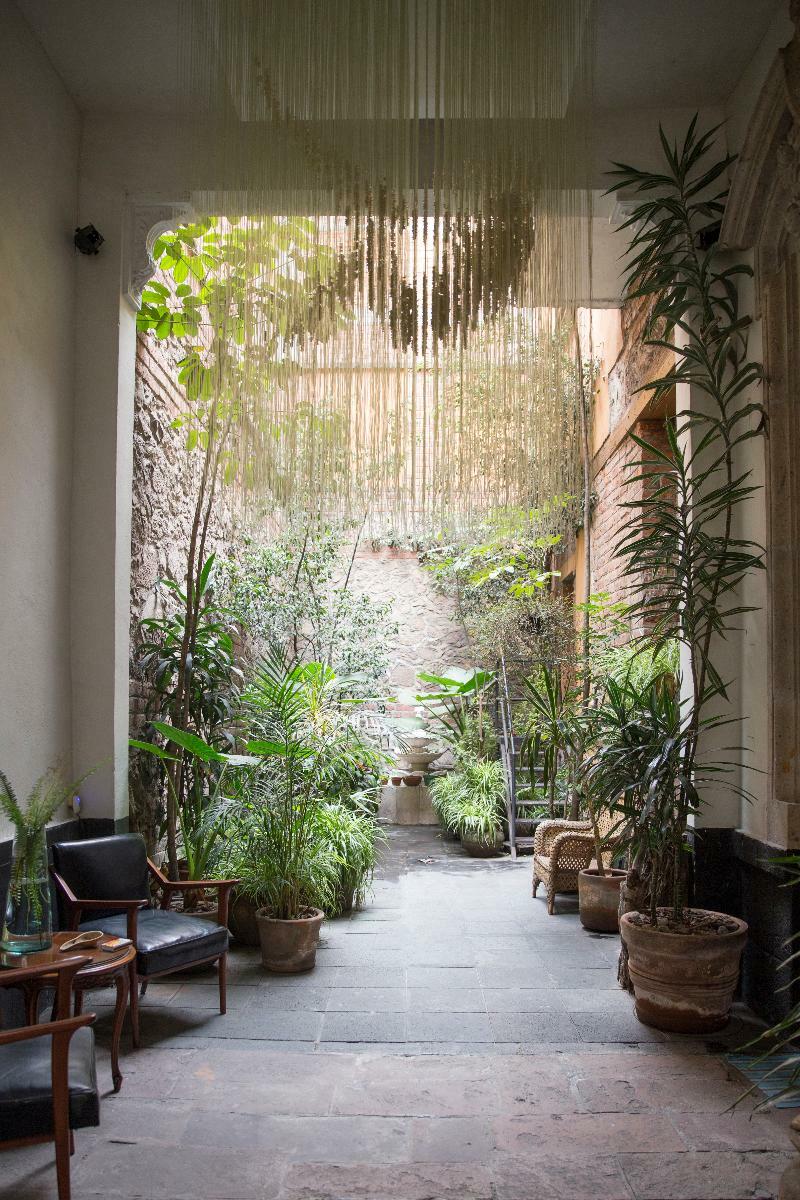 El Patio 77 B&B Μεξικό Εξωτερικό φωτογραφία